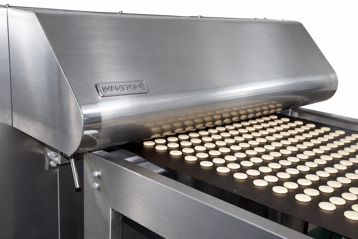 Rows of cookies on the belt entering the baking section